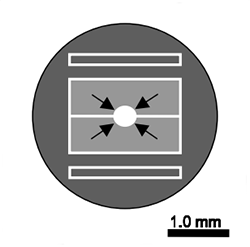 Diagram of the four regions of the calibration structures